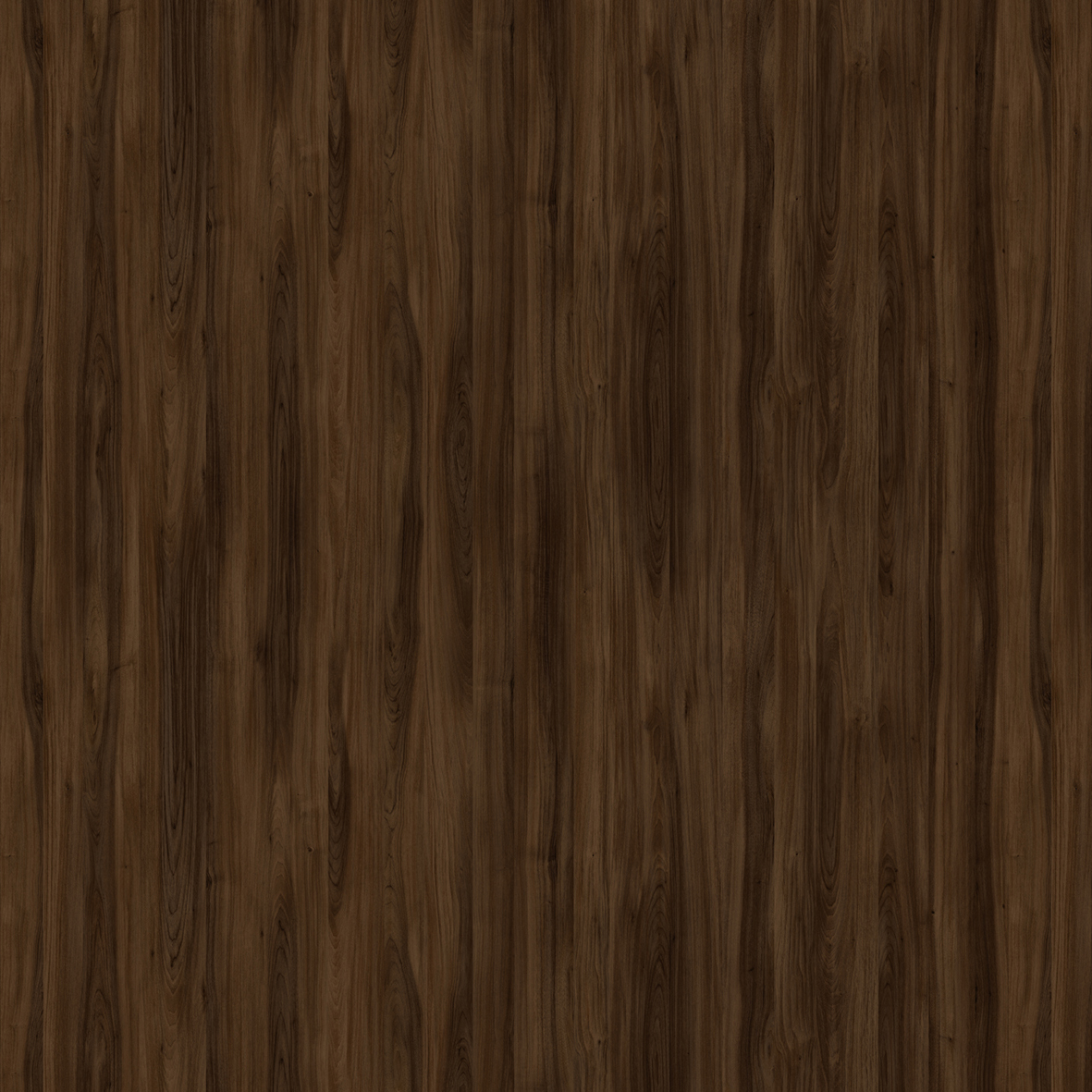 格萊維亞胡桃木